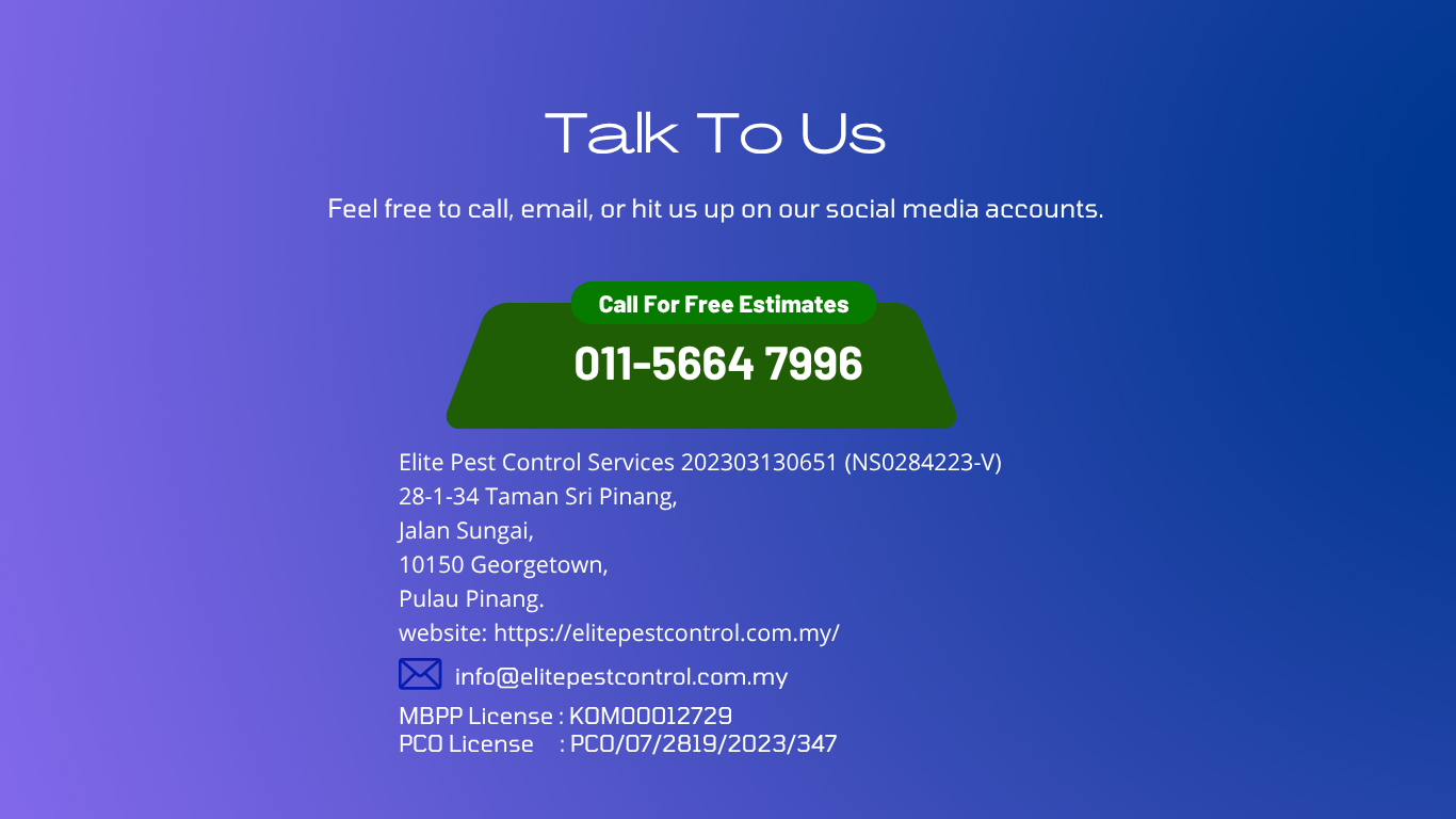 contact
